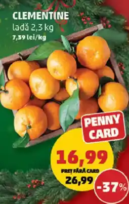 Penny Clementine ladǎ Ofertă