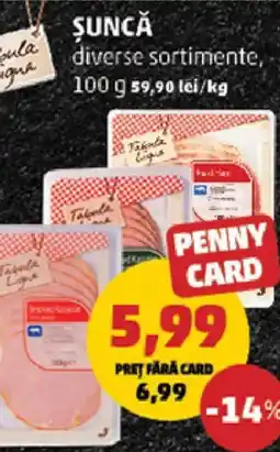 Penny Şunca Ofertă