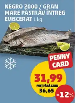 Penny Negro 2000/gran mare păstrăvîntreg eviscerat Ofertă