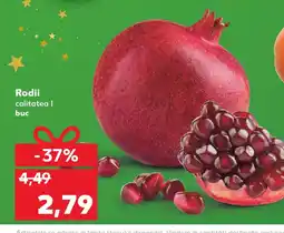 Kaufland Rodii Ofertă