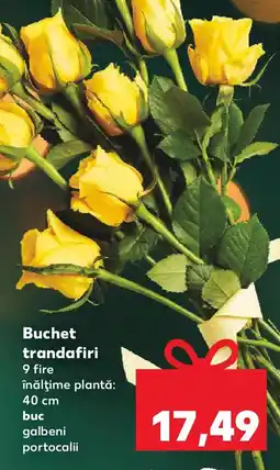 Kaufland Buchet trandafiri Ofertă