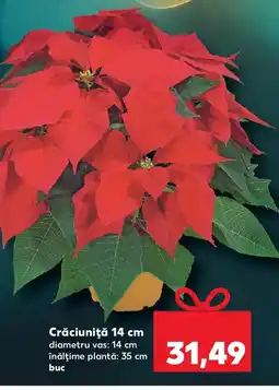 Kaufland Crăciuniţă Ofertă