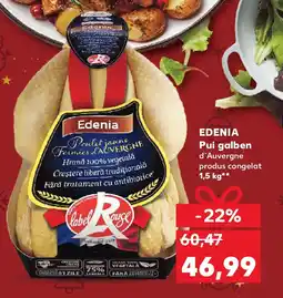 Kaufland EDENIA Pui galben Ofertă