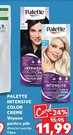Kaufland PALETTE INTENSIVE COLOR Creme Vopsea pentru păr Ofertă