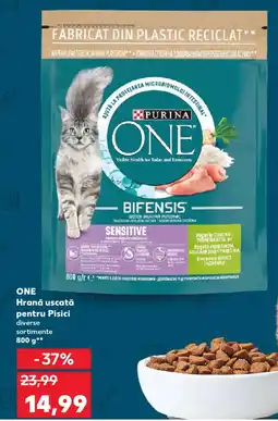 Kaufland ONE Hrană uscată pentru Pisici Ofertă