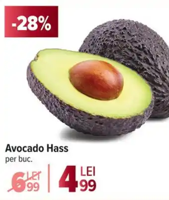 Avocado Hass