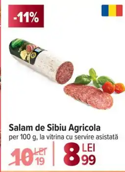 Carrefour Salam de Sibiu Agricola Ofertă
