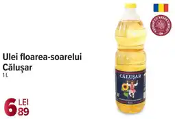 Carrefour Ulei floarea-soarelui Căluşar Ofertă