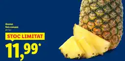 Lidl Ananas fără coroană Ofertă