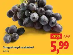 Lidl Struguri negri cu sâmburi Ofertă