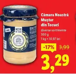 Lidl Cǎmara Noastră Mustar din Tecuci Ofertă