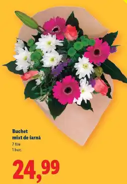 Lidl Buchet mixt de iarnă Ofertă