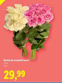 Lidl Buchet de trandafiri maxi Ofertă