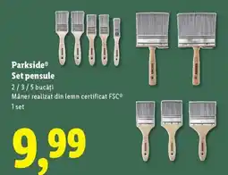 Lidl Parkside Set pensule 2/3/5 bucăți Ofertă