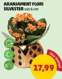 Penny Aranjament flori silvester Ofertă