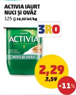 Penny ACTIVIA IAURT NUCI ŞI OVĂZ Ofertă