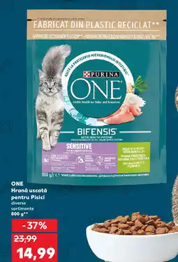 Kaufland ONE Hrană uscată pentru Pisici Ofertă
