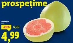 Lidl Pomelo roşu Ofertă
