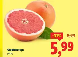 Lidl Grepfrut roşu Ofertă