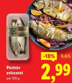 Lidl Păstrăv eviscerat Ofertă