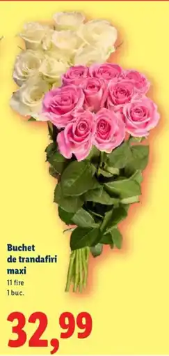 Lidl Buchet de trandafiri maxi Ofertă