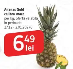Supeco Ananas Gold calibru mare Ofertă