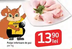 Supeco Pulpe inferioare de pui Ofertă