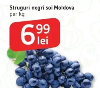 Supeco Struguri negri soi Moldova Ofertă