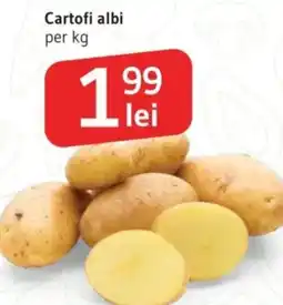 Supeco Cartofi albi Ofertă