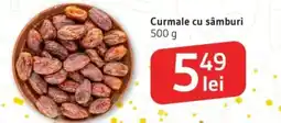 Supeco Curmale cu sâmburi Ofertă