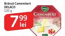 Supeco Brânză Camembert DELACO Ofertă