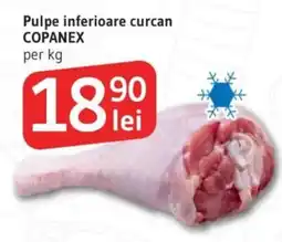 Supeco Pulpe inferioare curcan COPANEX Ofertă