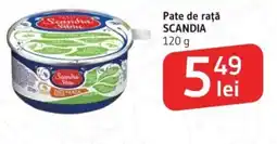 Supeco Pate de rață SCANDIA Ofertă