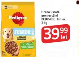 Supeco Hrană uscată pentru câini PEDIGREE Junior Ofertă
