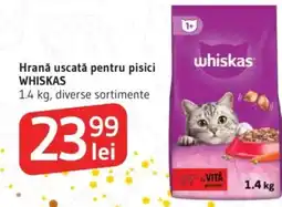 Supeco Hrană uscată pentru pisici WHISKAS Ofertă