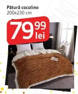 Supeco Pătură cocolino Ofertă