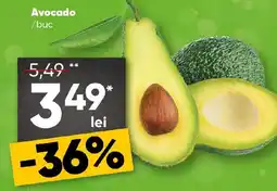 PROFI Avocado Ofertă
