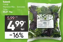 PROFI Salată Coral Mamma Mia / Armonia Ofertă