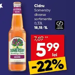 PROFI Cidru Somersby Ofertă