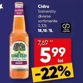 PROFI Cidru Somersby Ofertă