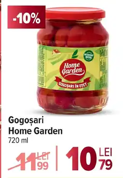 Carrefour Gogoşari Home Garden Ofertă