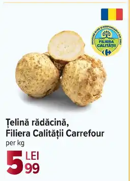 Carrefour Market Ţelină rădăcină, Filiera Calității Carrefour Ofertă