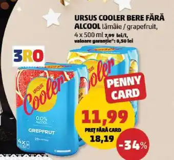 Penny URSUS COOLER Bere fără alcool Ofertă