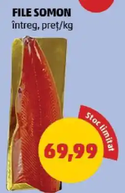 Penny File somon Ofertă