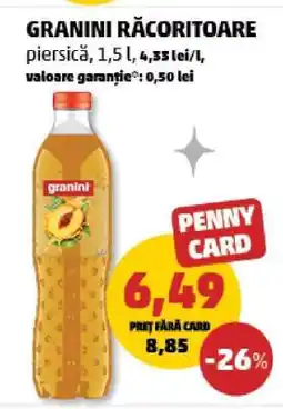 Penny GRANINI RĂCORITOARE Ofertă