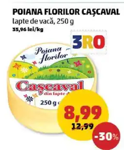 Penny POIANA FLORILOR CAȘCAVAL Ofertă