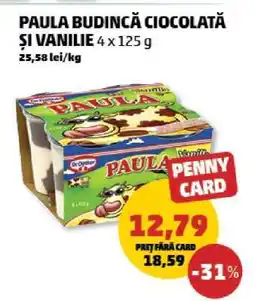 Penny PAULA BUDINCĂ CIOCOLATĂ ȘI VANILIE 4 x 125 g Ofertă
