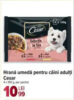 Carrefour Hrană umedă pentru câini adulți Cesar Ofertă