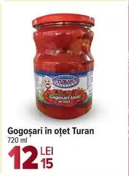 Carrefour Gogoșari în oțet Turan Ofertă