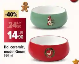 Carrefour Bol ceramic, model Gnom Ofertă